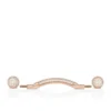 Chambelink Strass – Joyería para zapatos – Metal y strass – Oro rosa