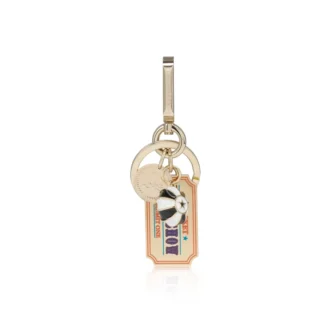 Llavero – Llavero – Acero – Multicolor