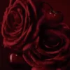 Rose Fatiche – Eau de Parfum 80 ml